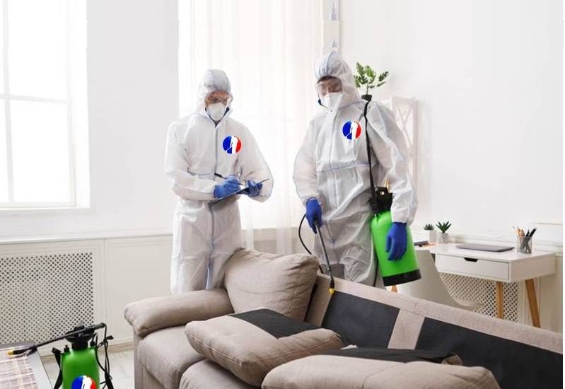 ajman-pest-control-1