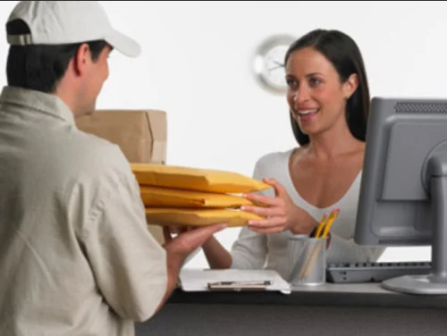 express-document-courier-service-500x500