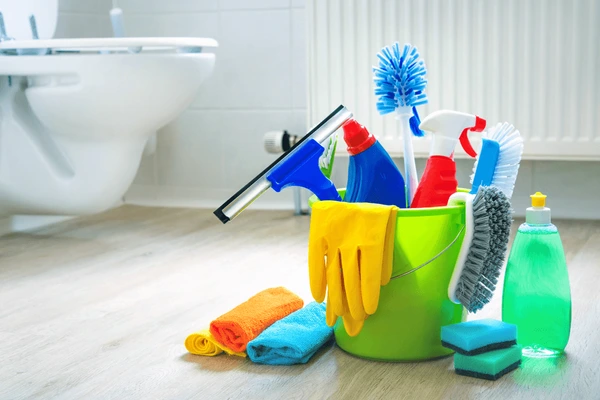 various-cleaning-items-supplies-bucket-600nw-1933754300